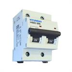 MCB HYUNDAI 1P 100A 10kA ( HGD125 )